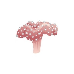 Luxury Toadstool Leather Coral